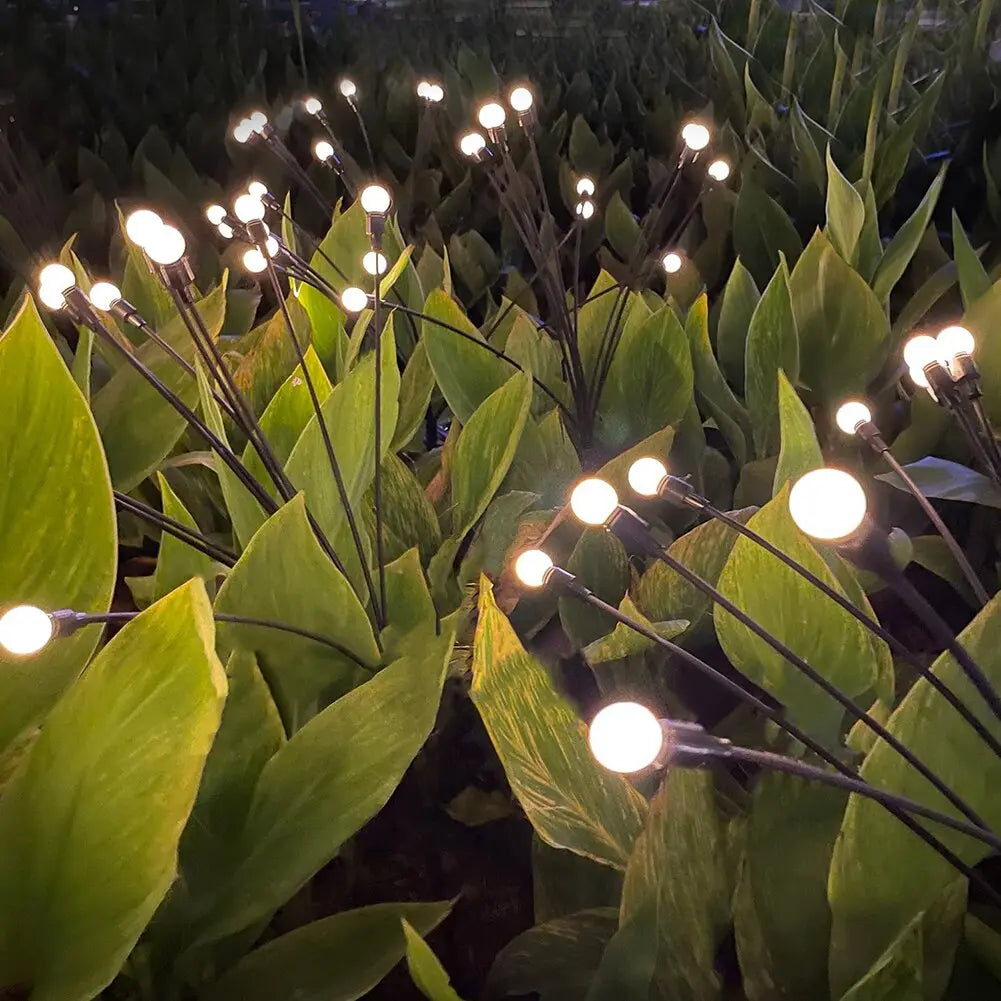 FIORI DI LUCE | le luci led che si ricaricano grazie al sole 1+1 OMAGGIO😍 superstock24